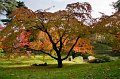 0014Jardin A Kahn
